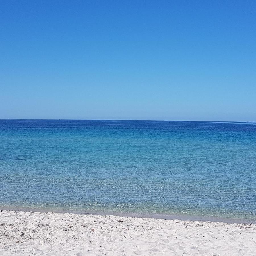 Piso Azul Espero Reial * Alghero